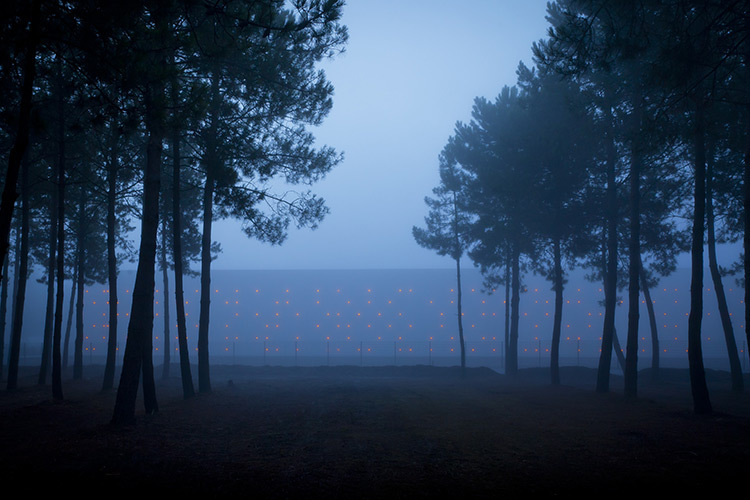 Chai LCB Logistique - matin brumeux en forêt - Architectes Baggio-Piechaud - Conception lumière Yon Anton-Olano - Photo A. Pequin