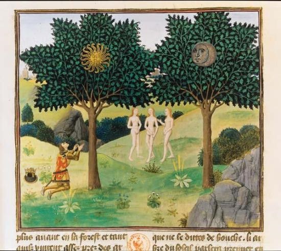 Les arbres du Soleil et de la Lune – Chroniques d’Alexandre – Bruges, 1448-1449 – Jean Wauquelin (Paris, BNF, Manuscrits, français 9342, f. 164)