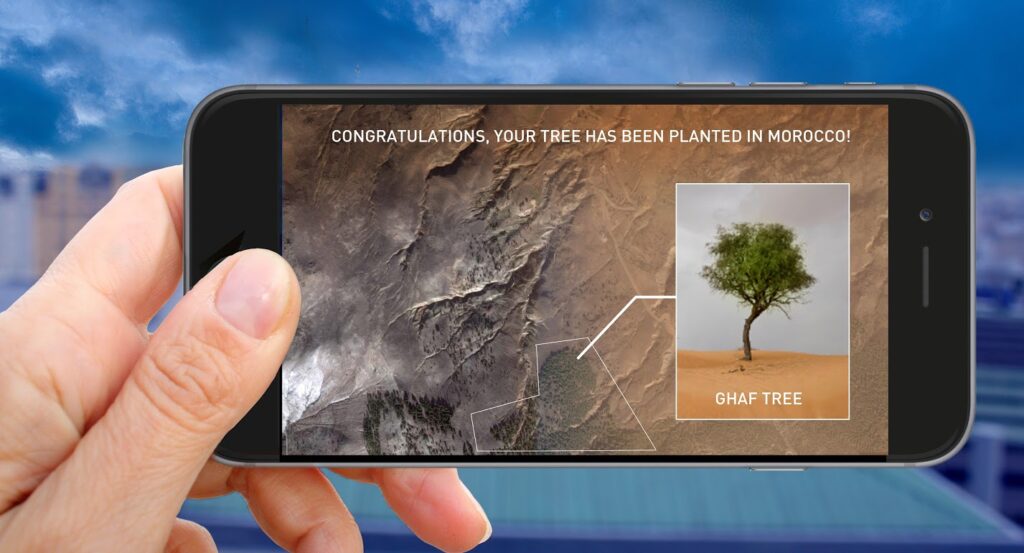 1 Heart 1 Tree - Phase 3 - Téléphone mobile avec la plantation d'un arbre - Illustration : Naziha Mestaoui