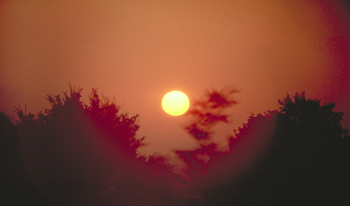 Soleil couchant - Photo Vincent Laganier