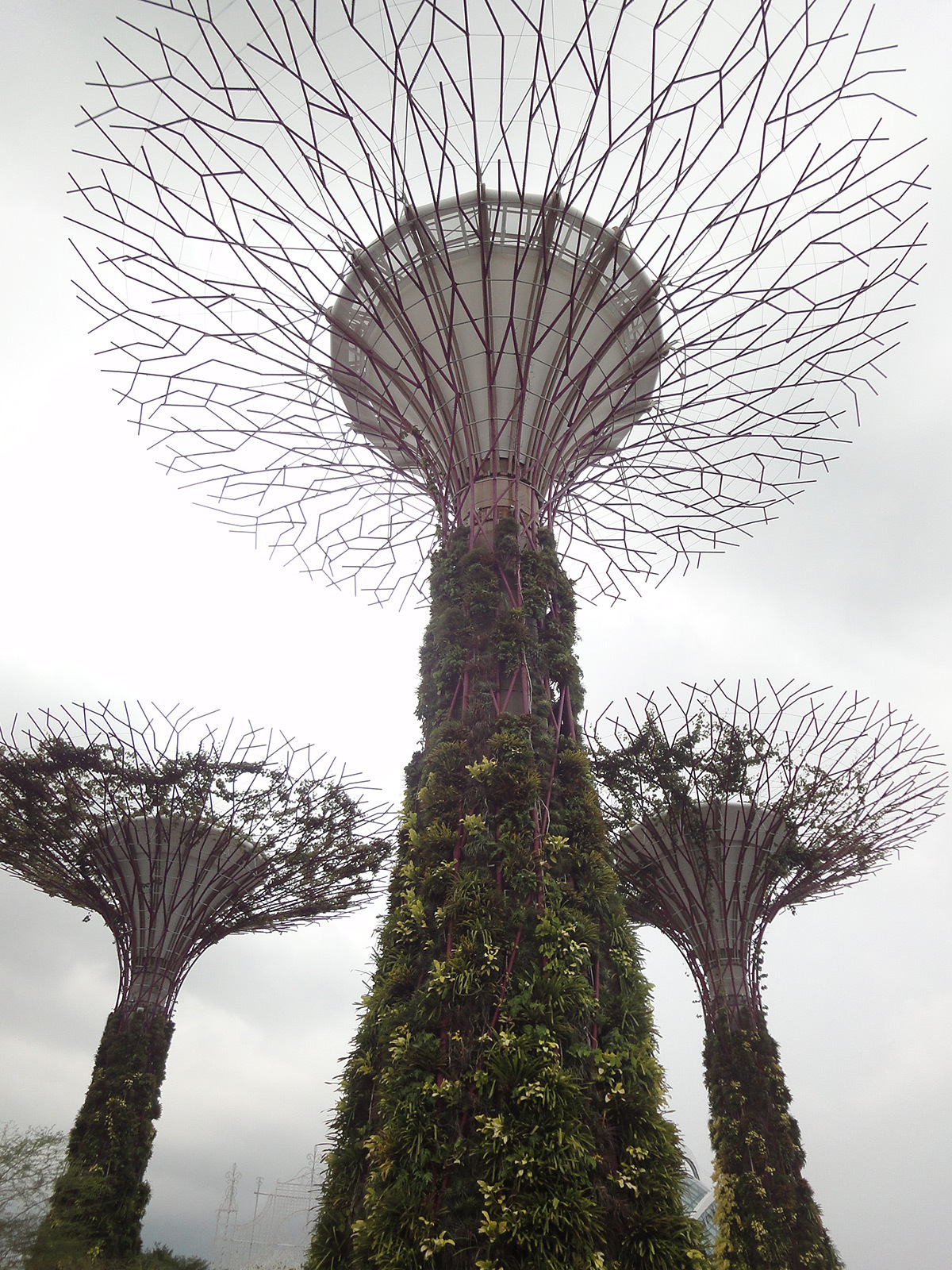 Gardens by the Bay © Roger Narboni