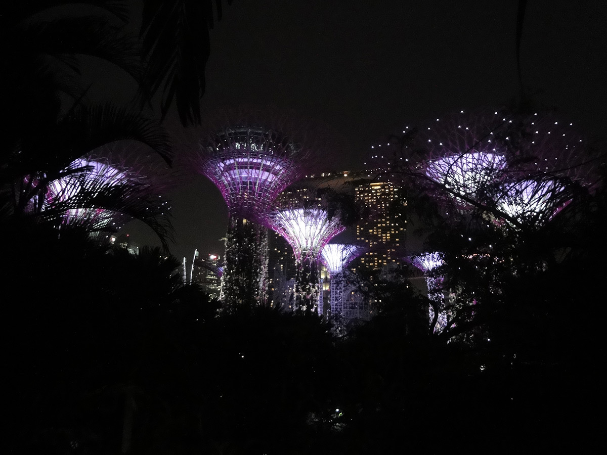 Illumination de Gardens by the Bay © Roger Narboni