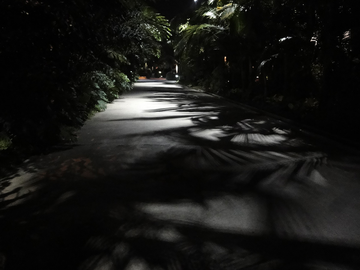 Les chemins ombrés de Gardens by the Bay © Roger Narboni