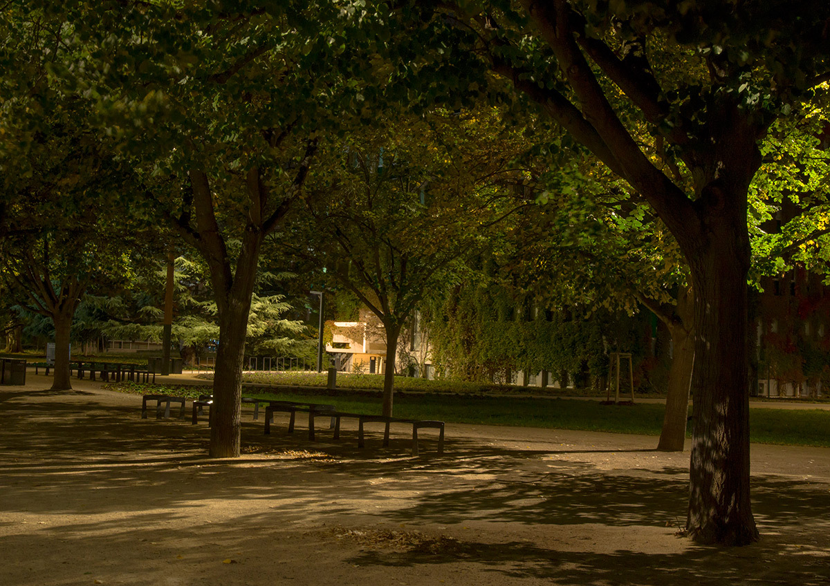 Allée du parc entre ombre et lumière - Parc de université de Strasbourg © Charles Vicarini