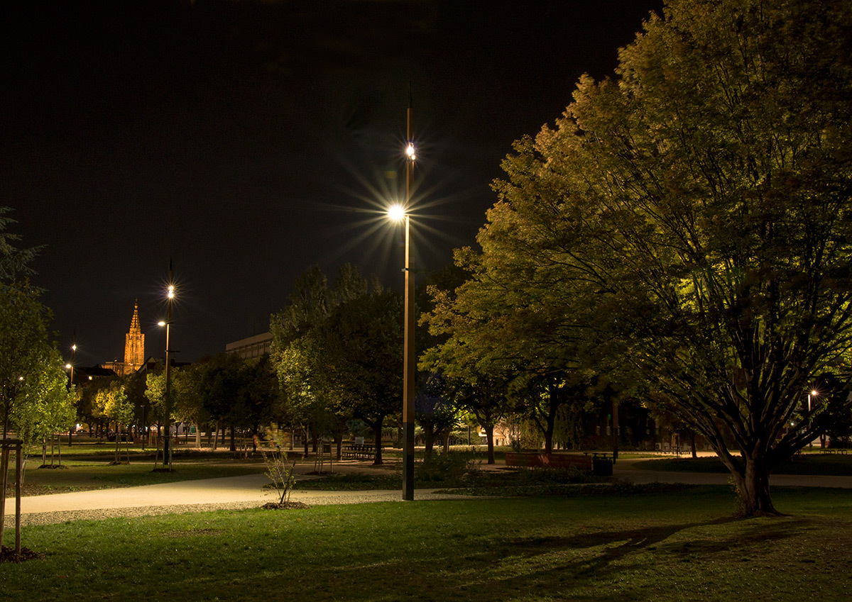 Touches de lumière sur les allées - Parc de université de Strasbourg © Charles Vicarini
