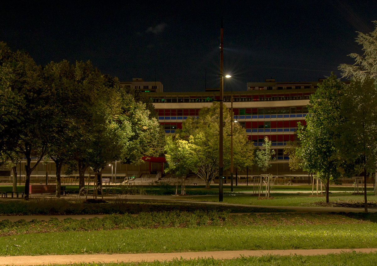 Touches de lumière sur les allées - Parc de université de Strasbourg © Charles Vicarini