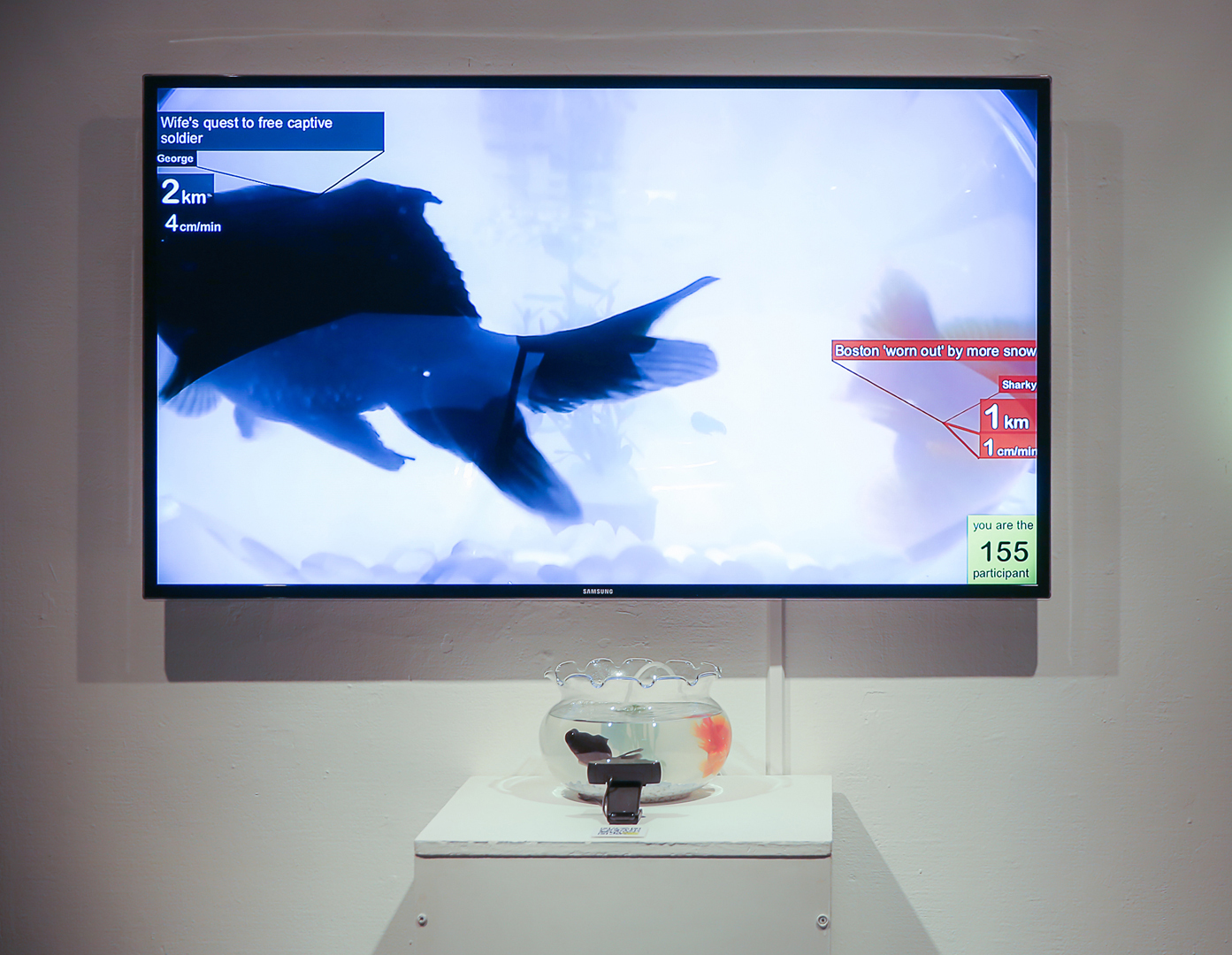 I & C (Cedar & Iris), Surveillance, 2014, installation temps réel © Cedar Zhou