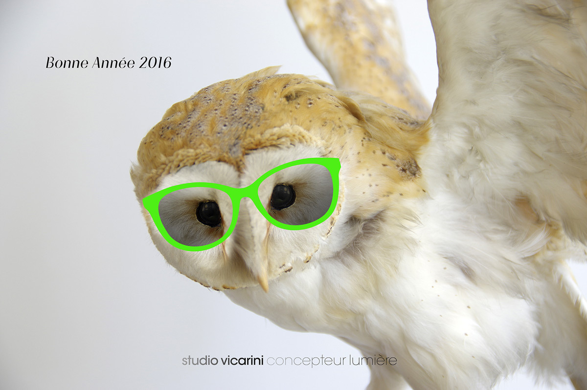 Carte de voeux 2016 © Charles Vicarini