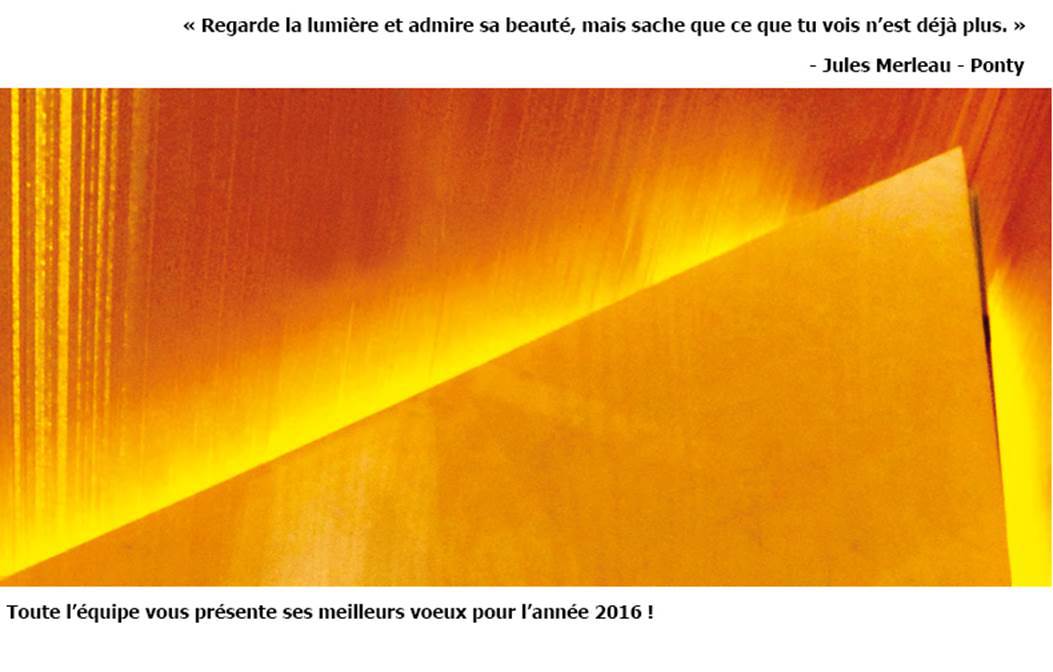 Carte de voeux 2016 © Ponctuelle