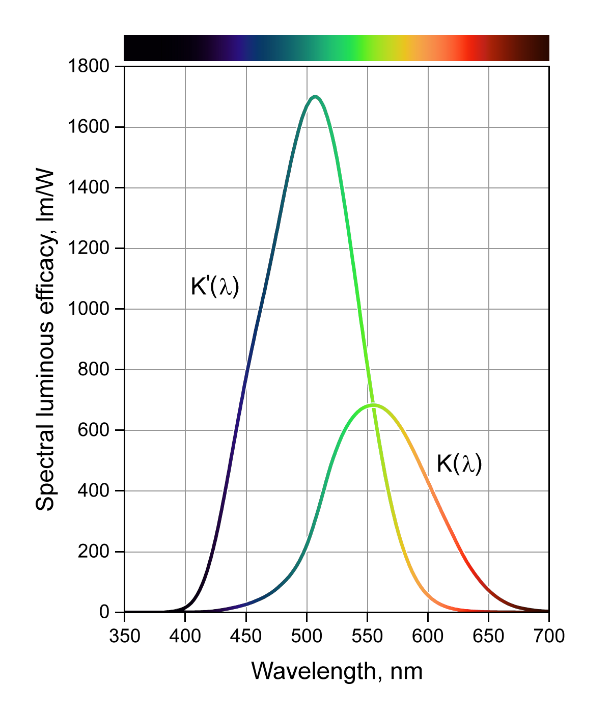 Courbe efficacite des yeux, diurne et nocturne © Sch - Wikipedia