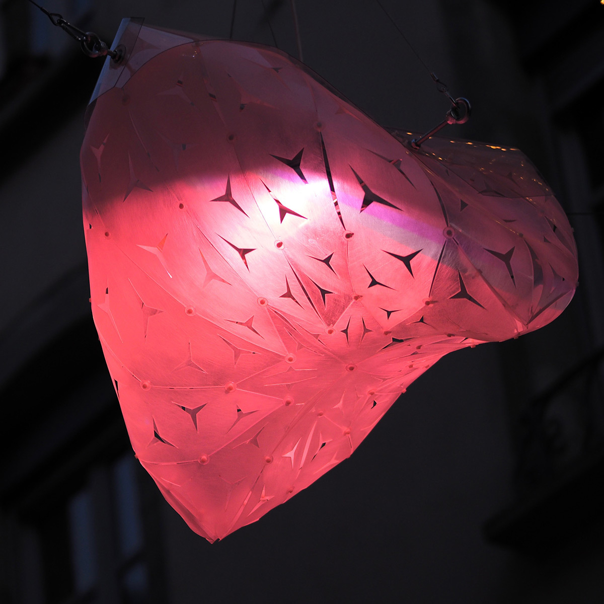 Les CoCColithes de la rue Saint-Laurent, Grenoble - Collectif Abat-Jour - Decembre 2015 © Anastasia Sokolnikova et Jean-David Boucher