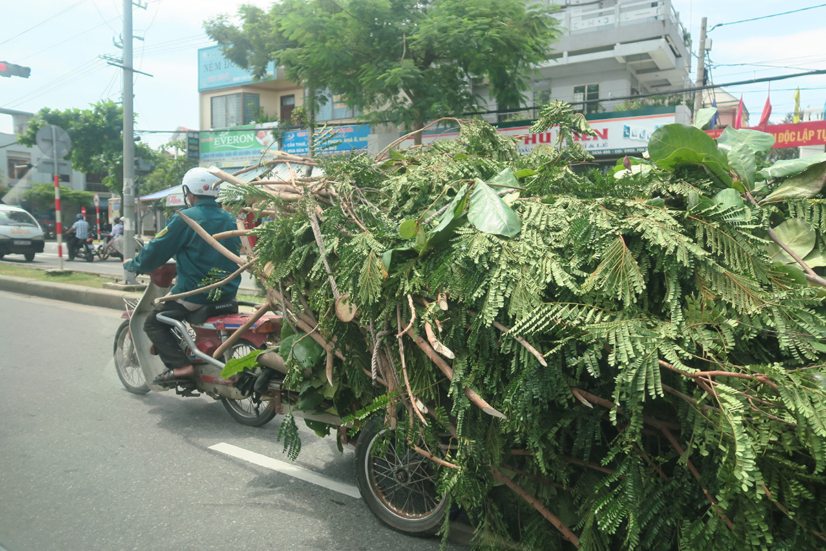 Danang - Voyage au Vietnam © Roger Narboni, concepteur lumière