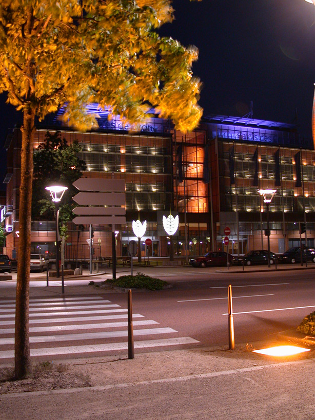 Cité internationale, Quai Charles de Gaulle, Lyon
