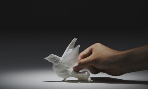 Tissue Animals, papier en lumière de Nepia