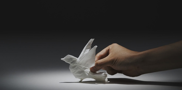 Tissue Animals, papier en lumière de Nepia