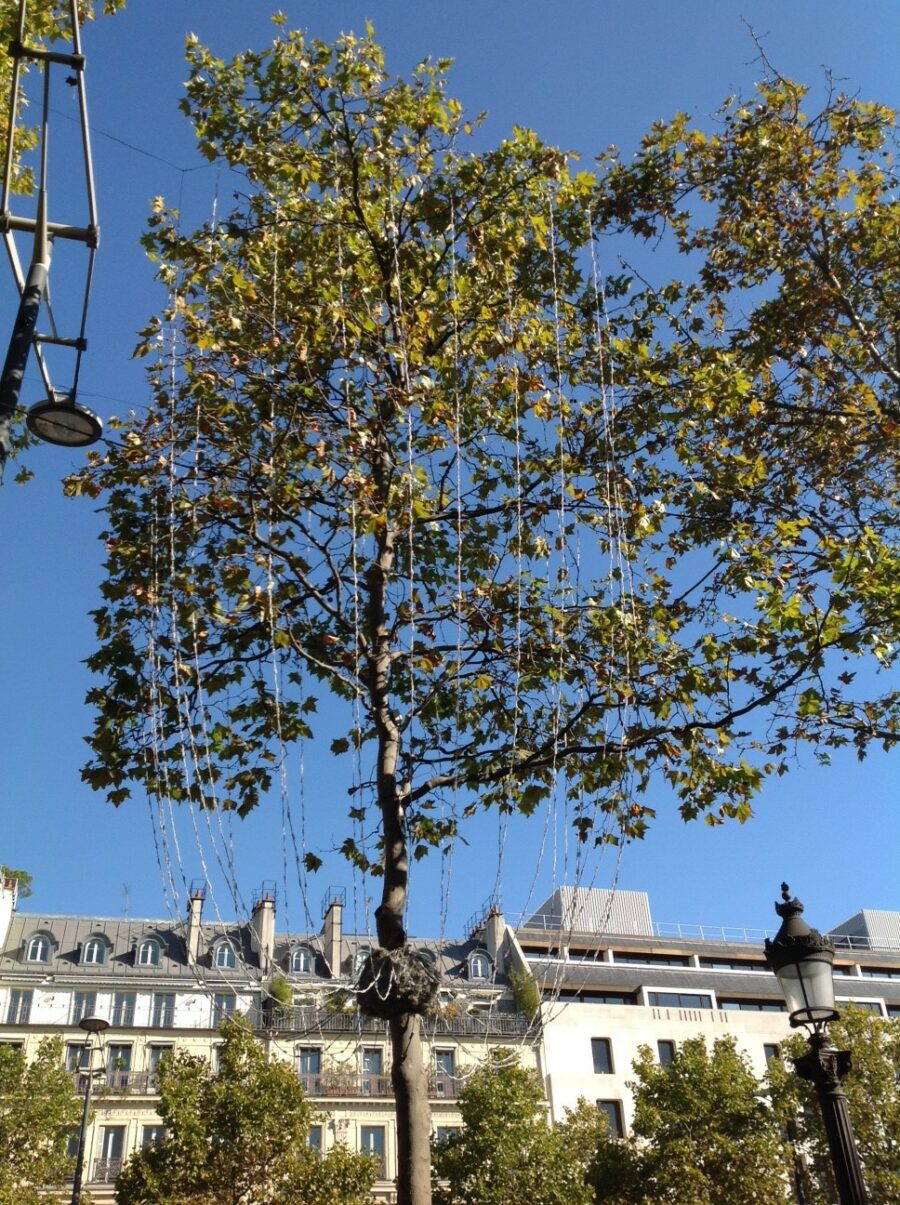 Champs Elysées, Paris, illuminations 2015, installation en cours - Photo Vincent Laganier