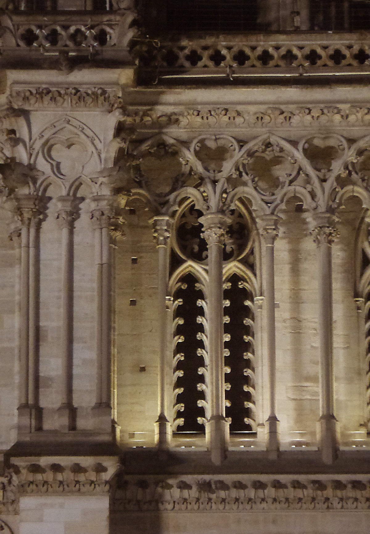 Cathédrale Notre-Dame de Paris, France - détail de la façade occidentale de nuit