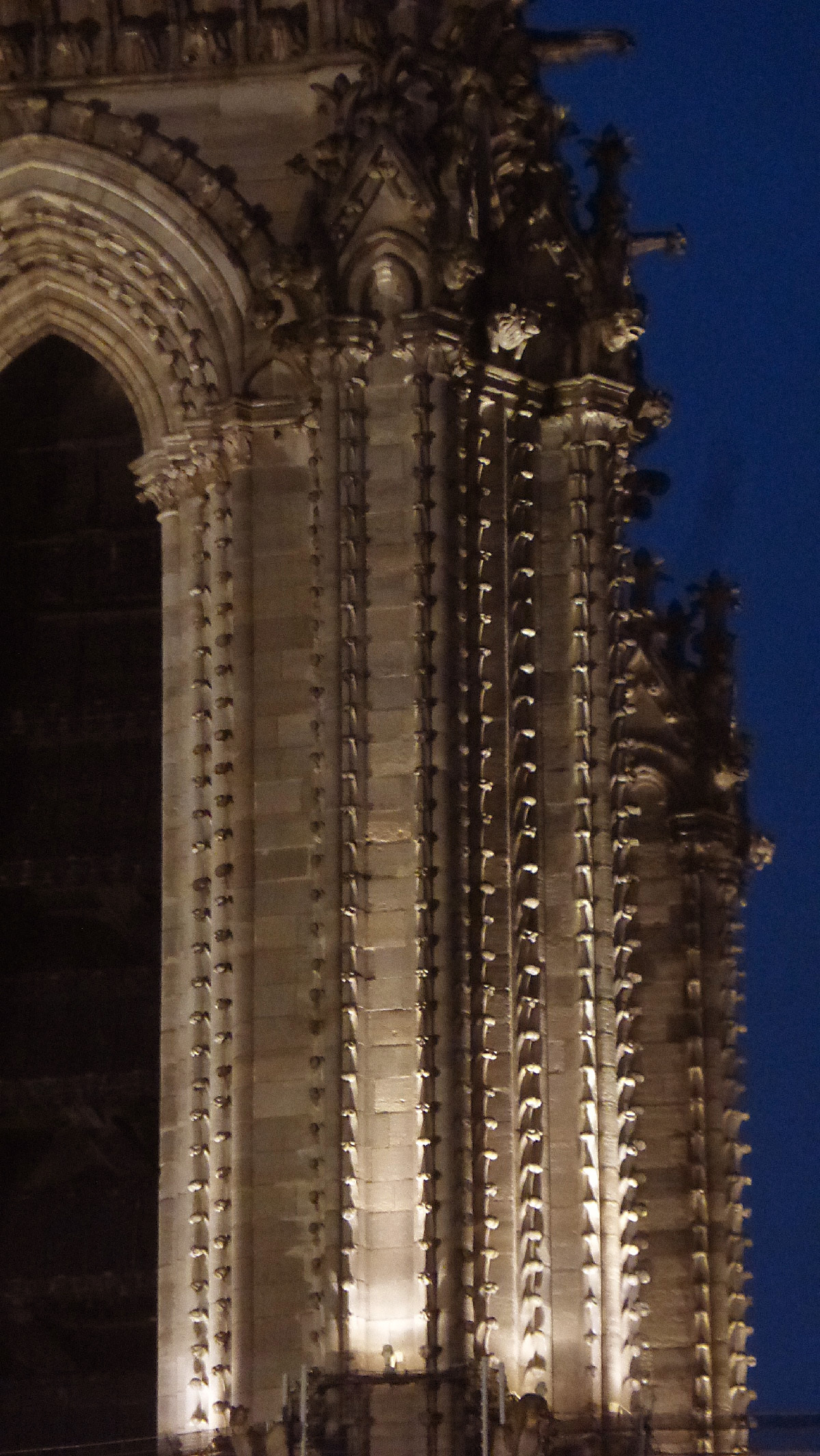 Cathédrale Notre-Dame de Paris, France - détail de la façade occidentale de nuit - Conception lumière : Roger Narboni, Concepto et Louis Clair, Light Cibles avec Italo Rota