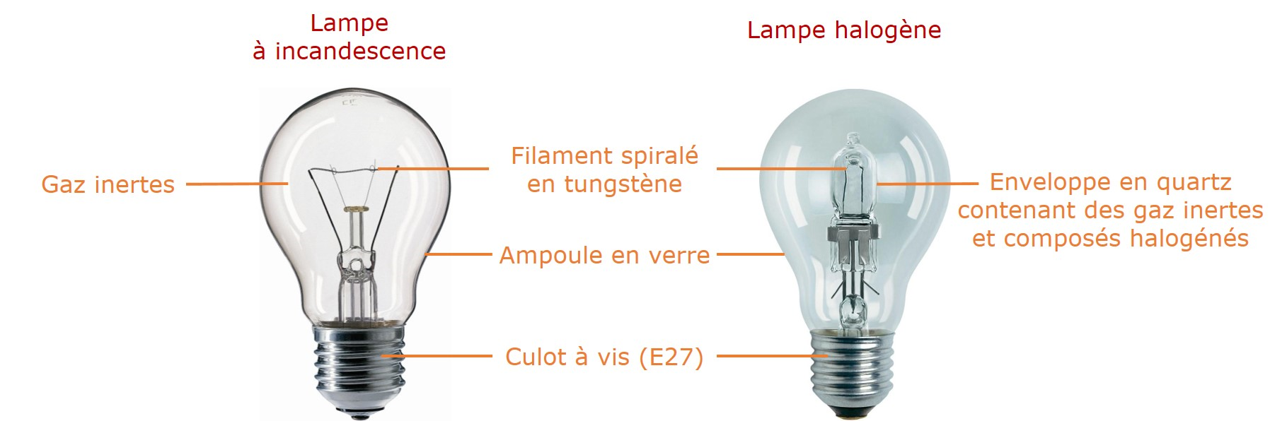 Lampe incandescence et halogène