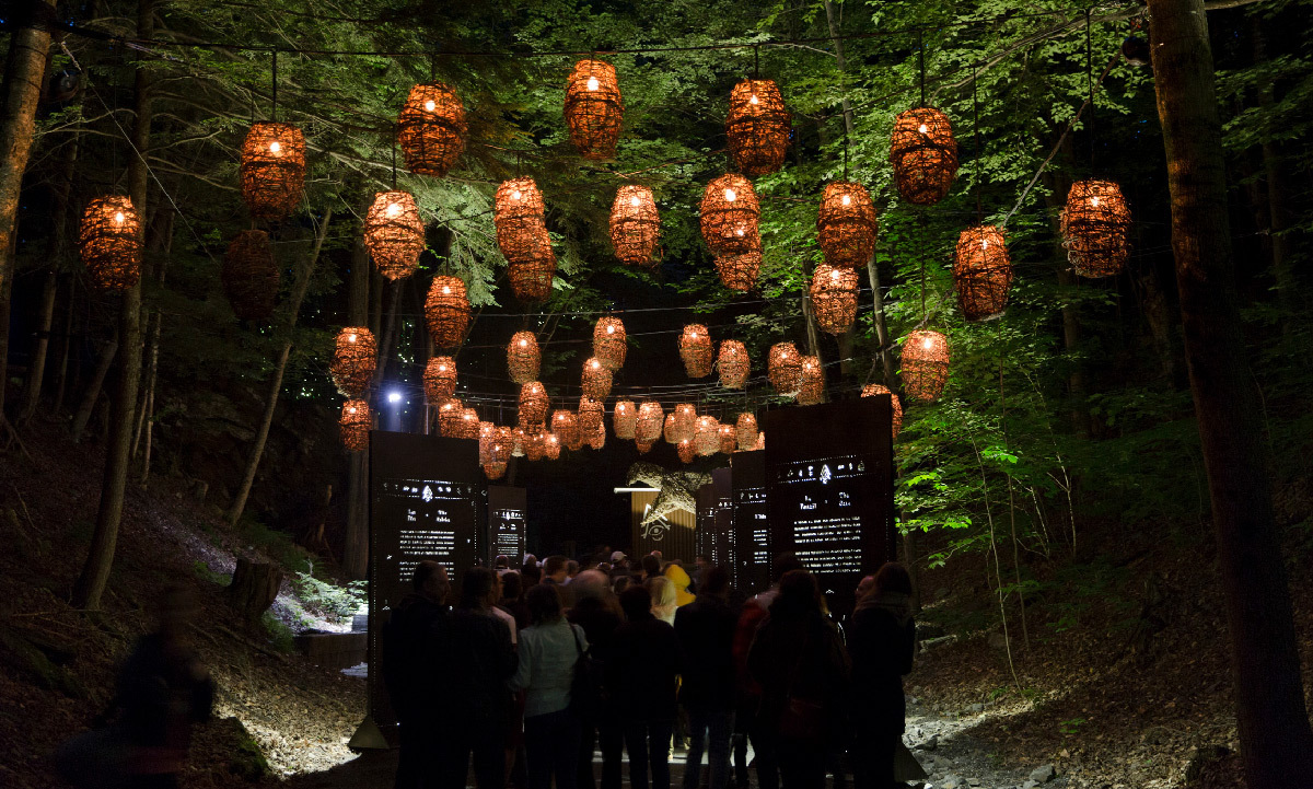 Parcours scénographique multimédia nocturne, Foresta Lumina, parc de la Gorge de Coaticook au Québec