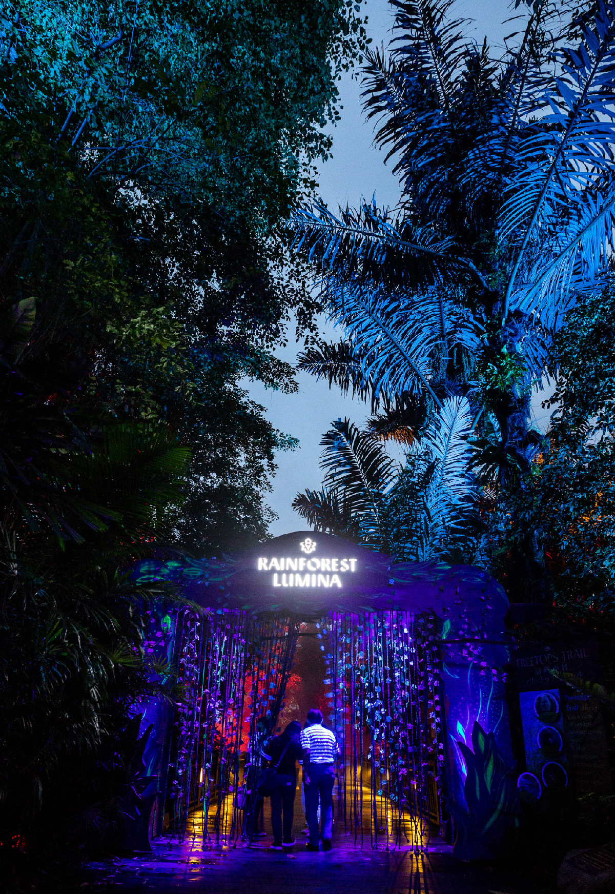 Rainforest Lumina, zoo de Singapour - Parcours multimédia nocturne, 2018