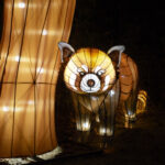 Illumination Jardin des Plantes, Paris, France © China Light Festival B.V