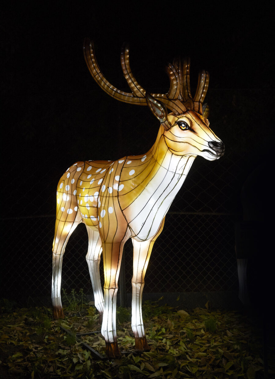 Illumination Jardin des Plantes, Paris, France © China Light Festival B.V
