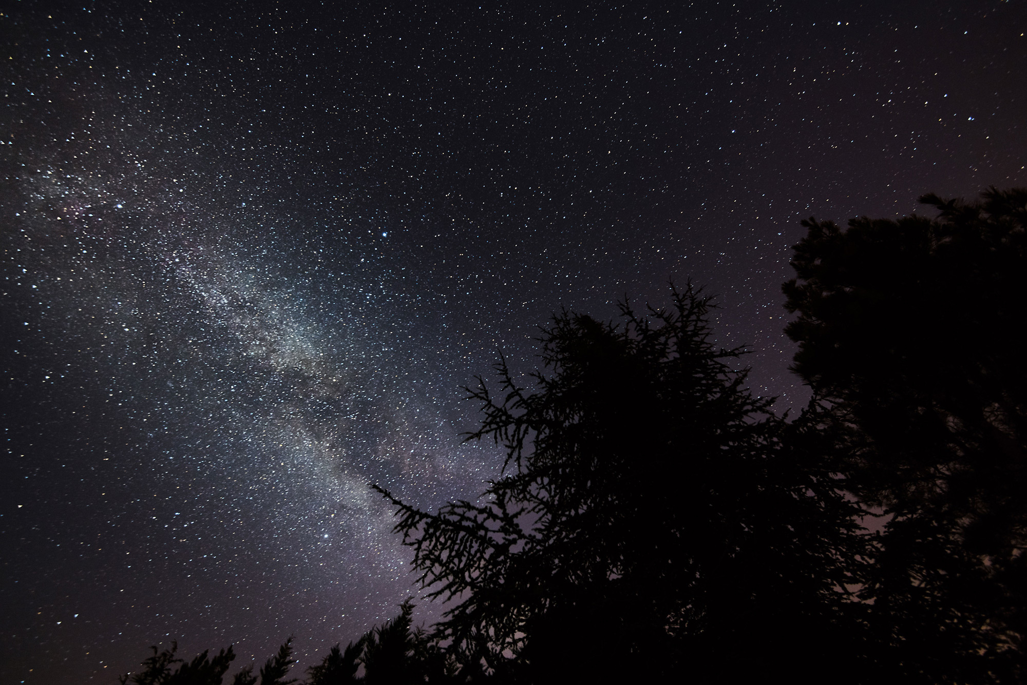 Lumière du ciel nocturne — Wikipédia