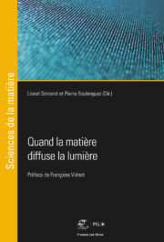 Visualiseur 3D en éclairage scénique et lighting opérateur