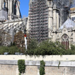 Cathédrale Notre-Dame de Paris, transept sud avec échafaudage sans toiture - Septembre 2019 © Vincent Laganier