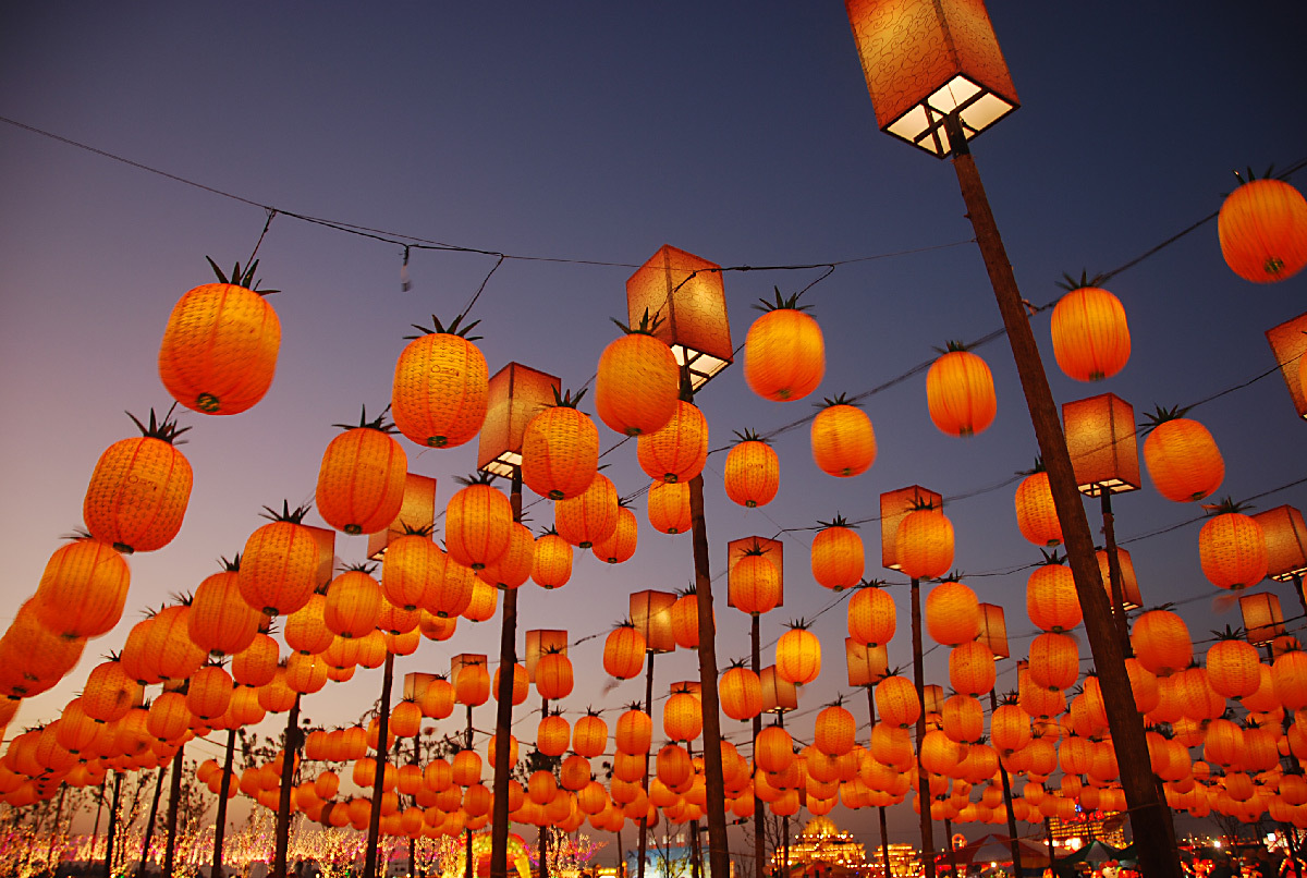 70 festivals lumière dans le Monde calendrier 20192020
