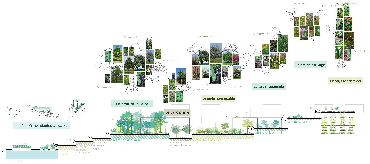 Biodiversité locale résiliente, cœurs d'îlot Belvédère et Villas, village des athlètes, Lot E, Jeux de Paris 2024