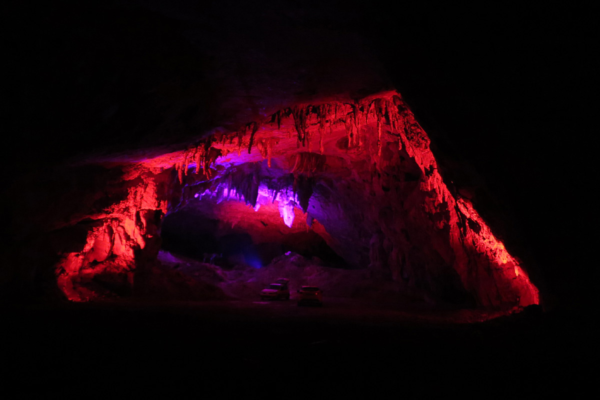 In Situ 2020, grotte de Bedeilhac, Ariège