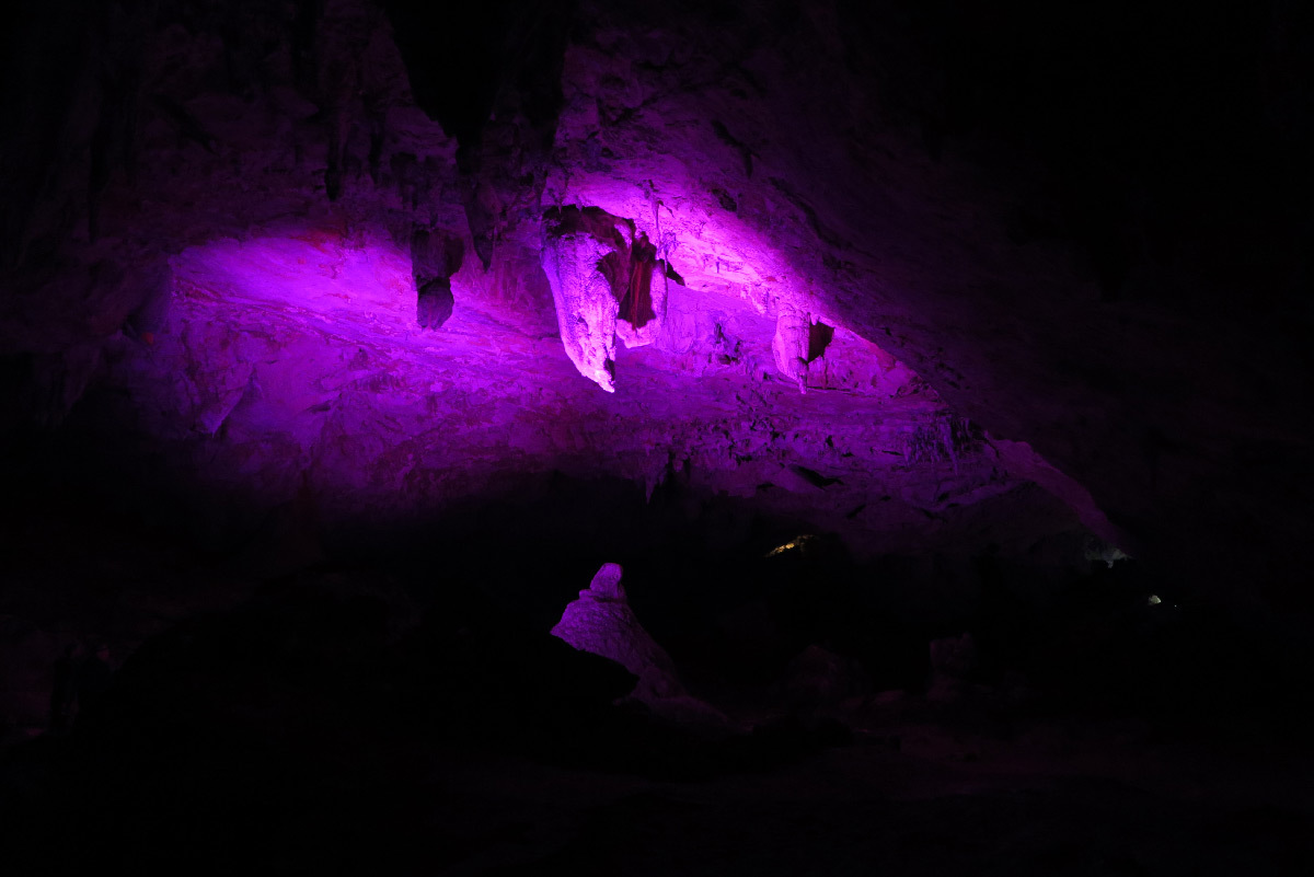 In Situ 2020, grotte de Bedeilhac, Ariège