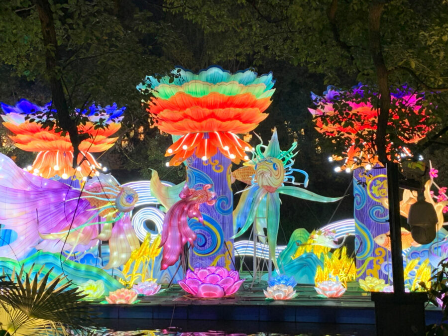 Festival des Lanternes 20242025 à Céret Splendeurs de Chine