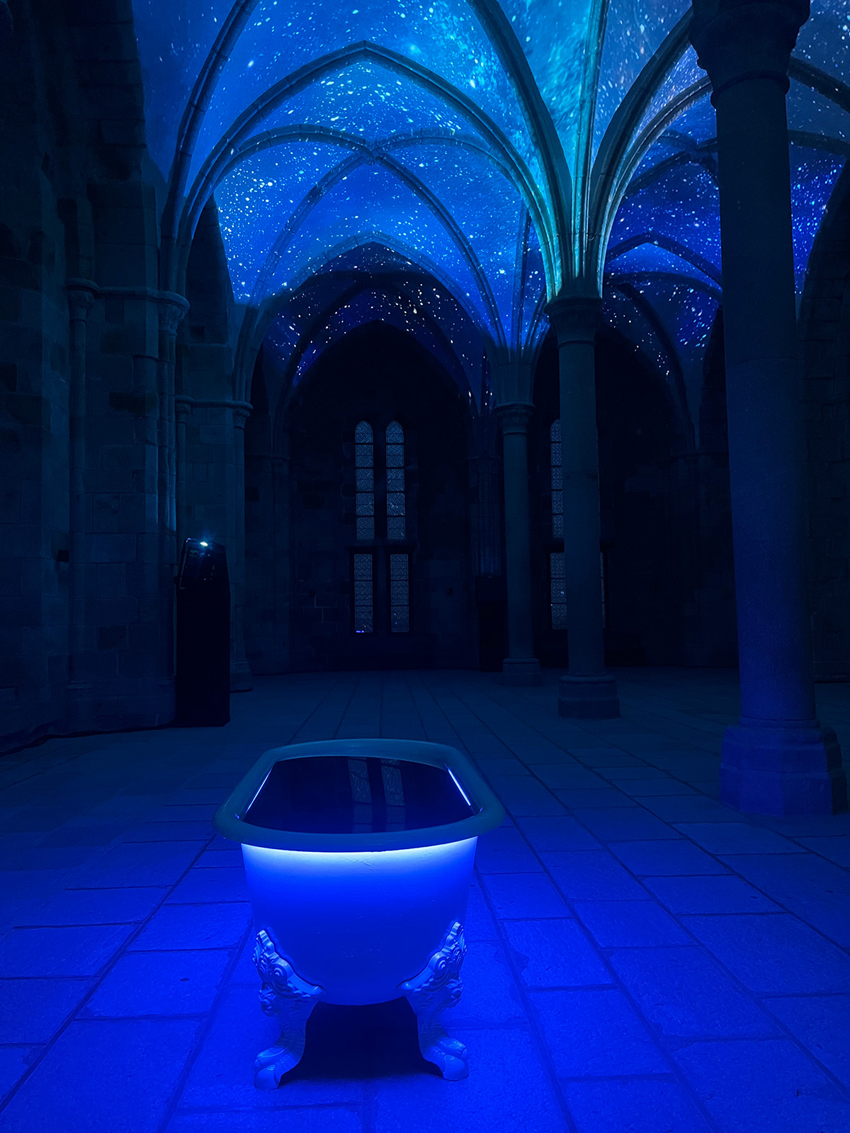 Rêve de Lune, parcours nocturne, bain de Lune, salle des hôtes, abbaye du Mont-Saint-Michel
