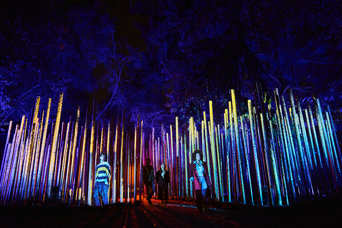 Light Cycles Paris by Moment Factory