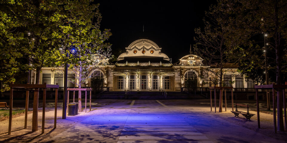 Parc des Sources, palais des congrès et arbres, Vichy - Conception lumière française