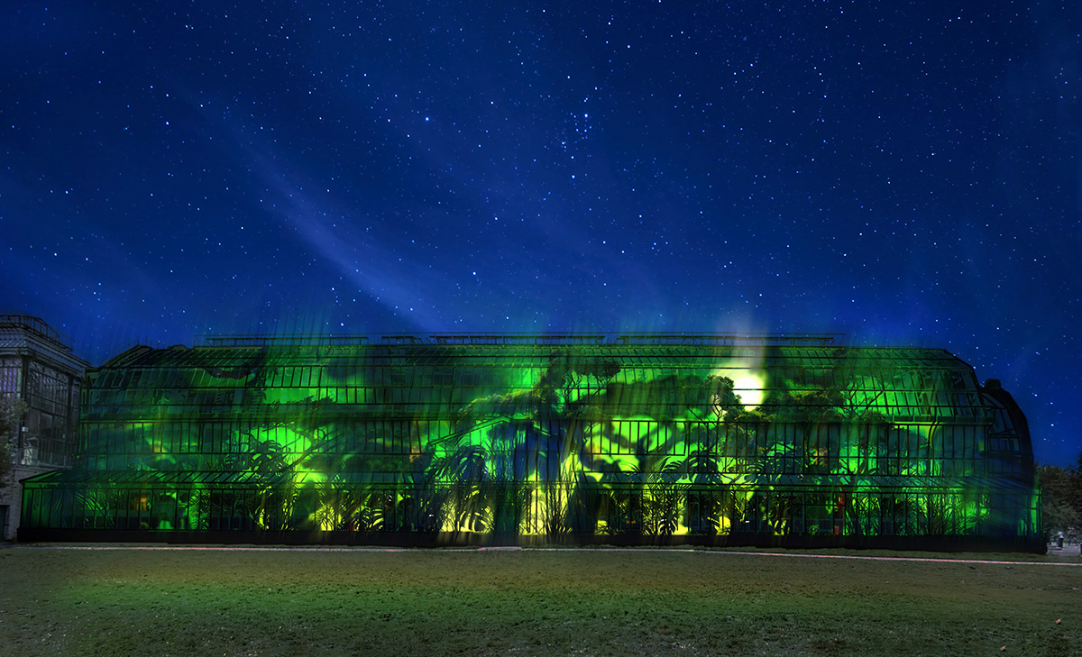 Illumination au Jardin des Plantes de Paris