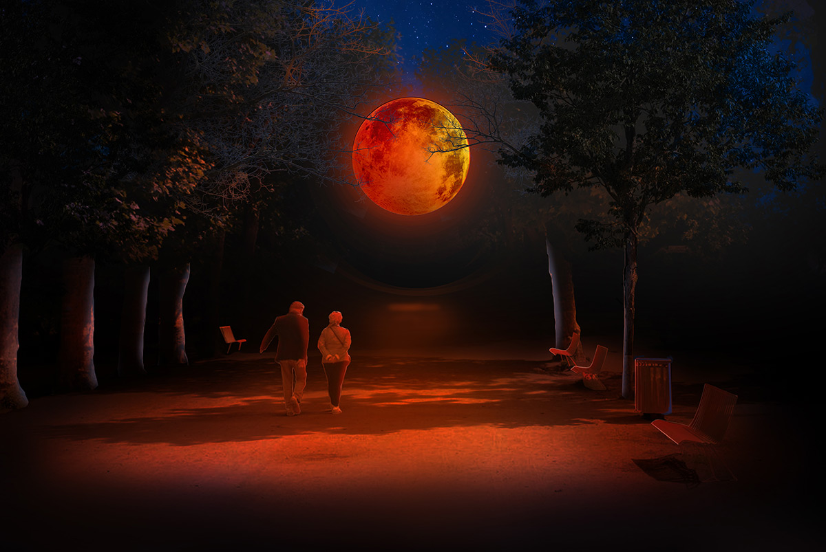 Illumination de la Lune rousse au Jardin des Plantes de Paris