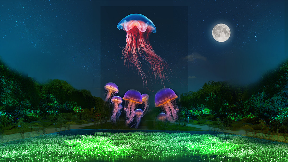 Illumination en hologramme au Jardin des Plantes de Paris