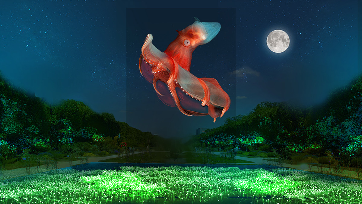 Illumination au Jardin des Plantes de Paris