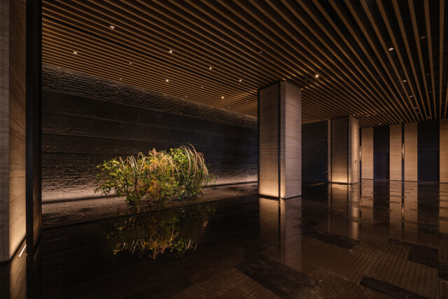 IALD Awards 2026: Lighting Design Winners Review