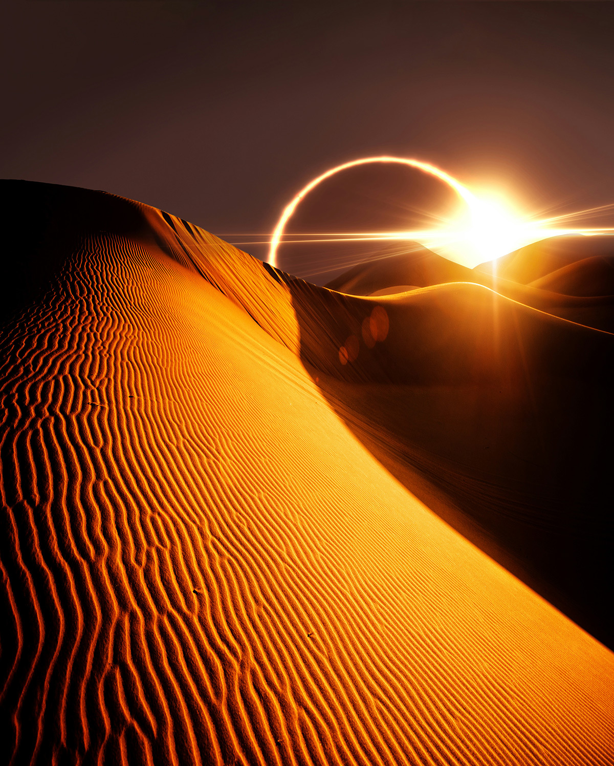 Solar eclipse on sand dune at the dusk